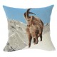 Coussin Mont Blanc